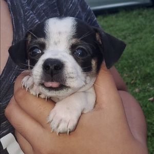 Meet your Posher, Adaneth